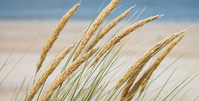 Atemtherapie - durchatmen, aufatmen