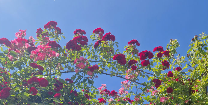 Atemtherapie - durchatmen, aufatmen