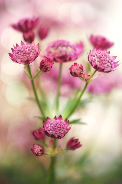 Therapeutische Frauenmassage - Berlin Charlottenburg Therapeutische Frauenmassage - Berlin Charlottenburg